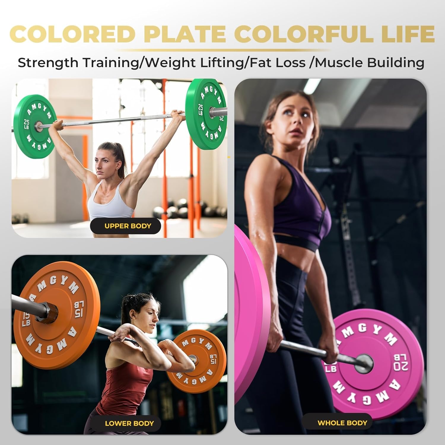 Unleash Your Strength with AMGYM 2 Inch Colorful Bumper Plates - Durable Olympic Weight Plates Set for Your Home Gym, Available in Weights from 10 to 500lbs